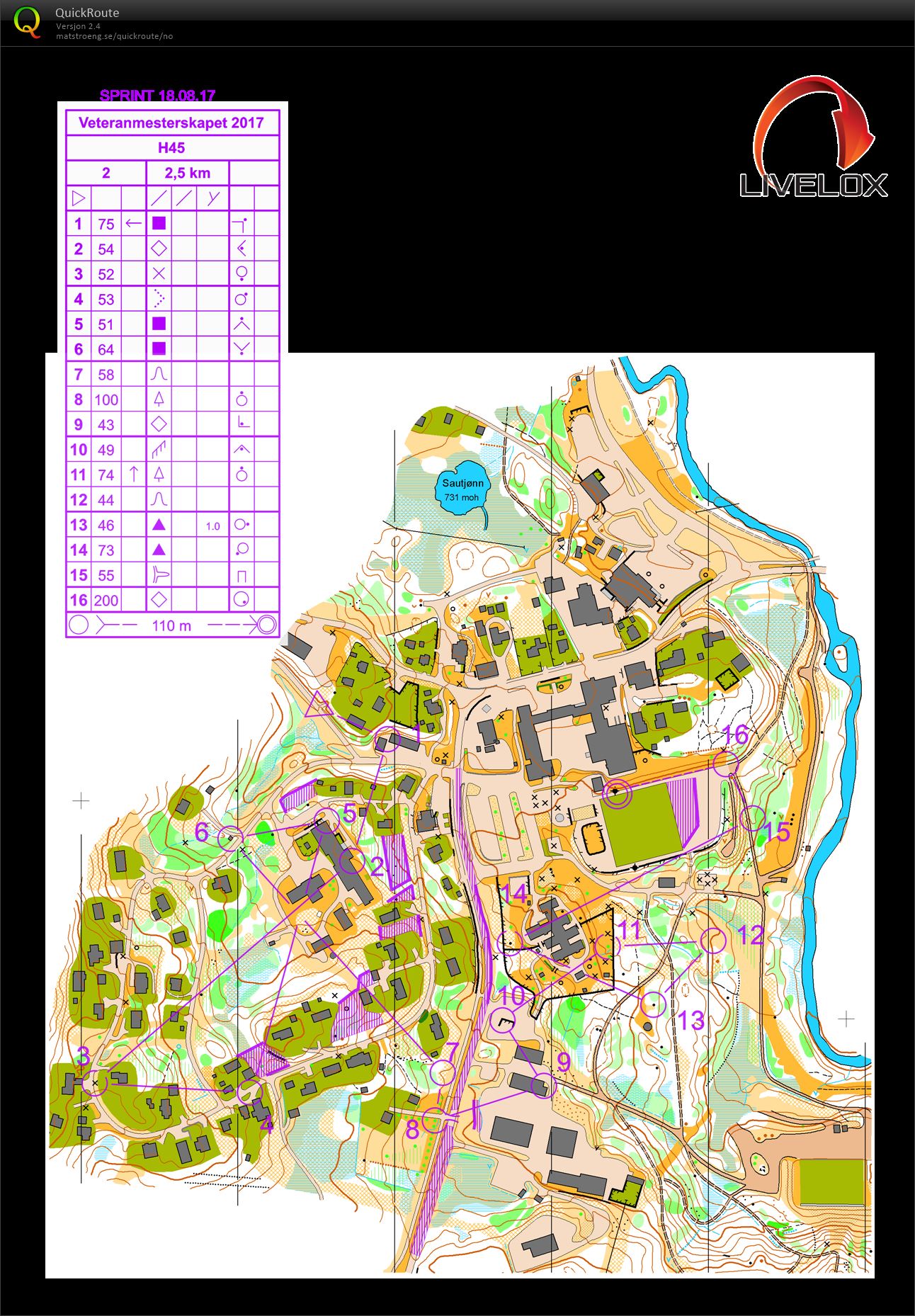 Veteranmesterskapet Sprint H45 (18.08.2017)