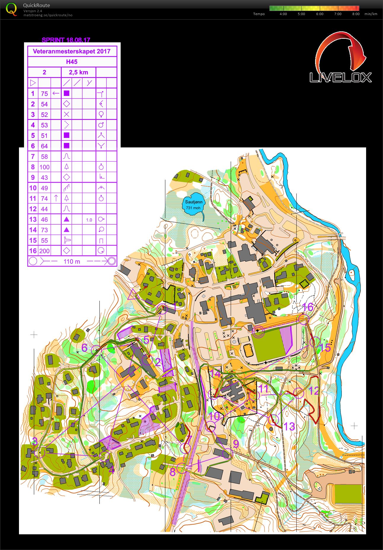 Veteranmesterskapet Sprint H45 (18.08.2017)