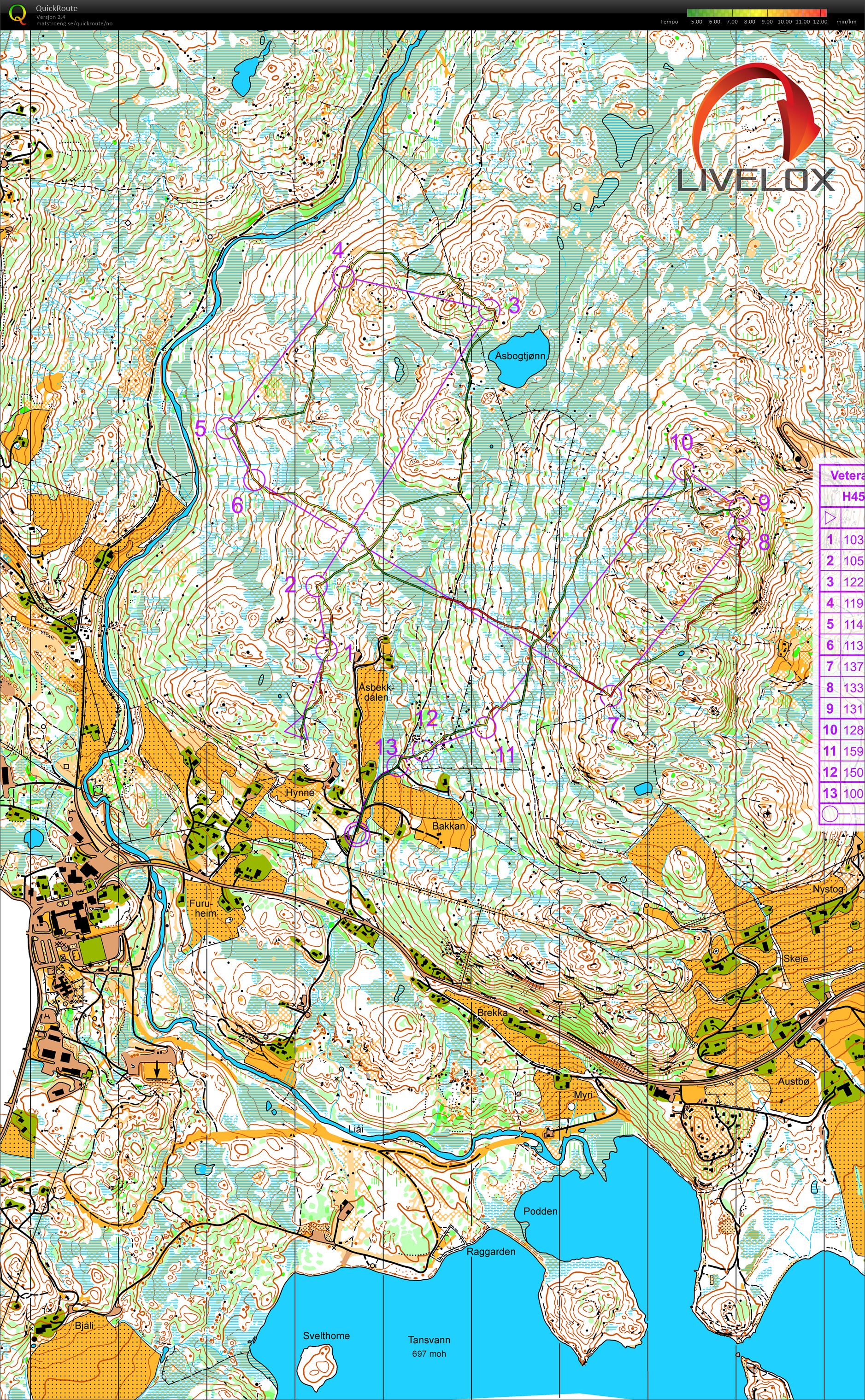 Veteranmesterskapet Lang H45 (19.08.2017)