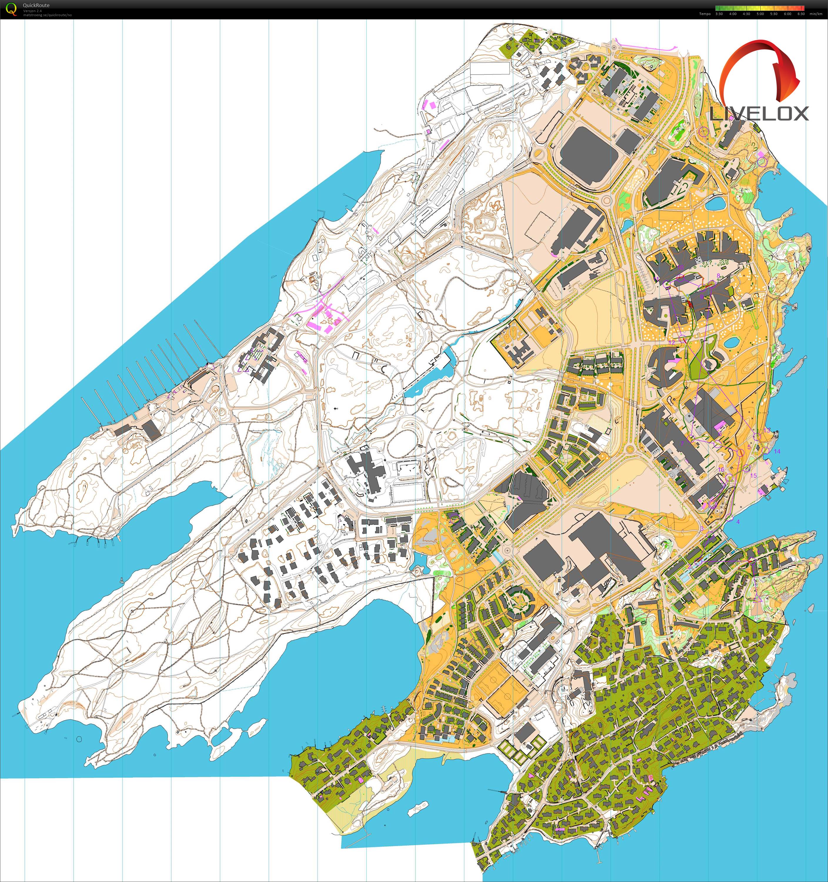 O-Festivalen Sprint H45 (22.06.2018)