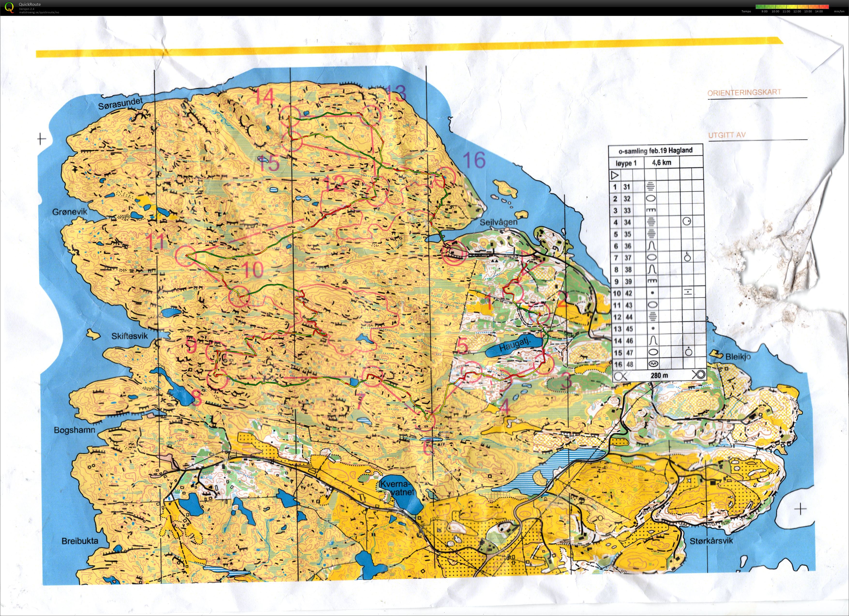 ROK Trees Langtur (10.02.2019)