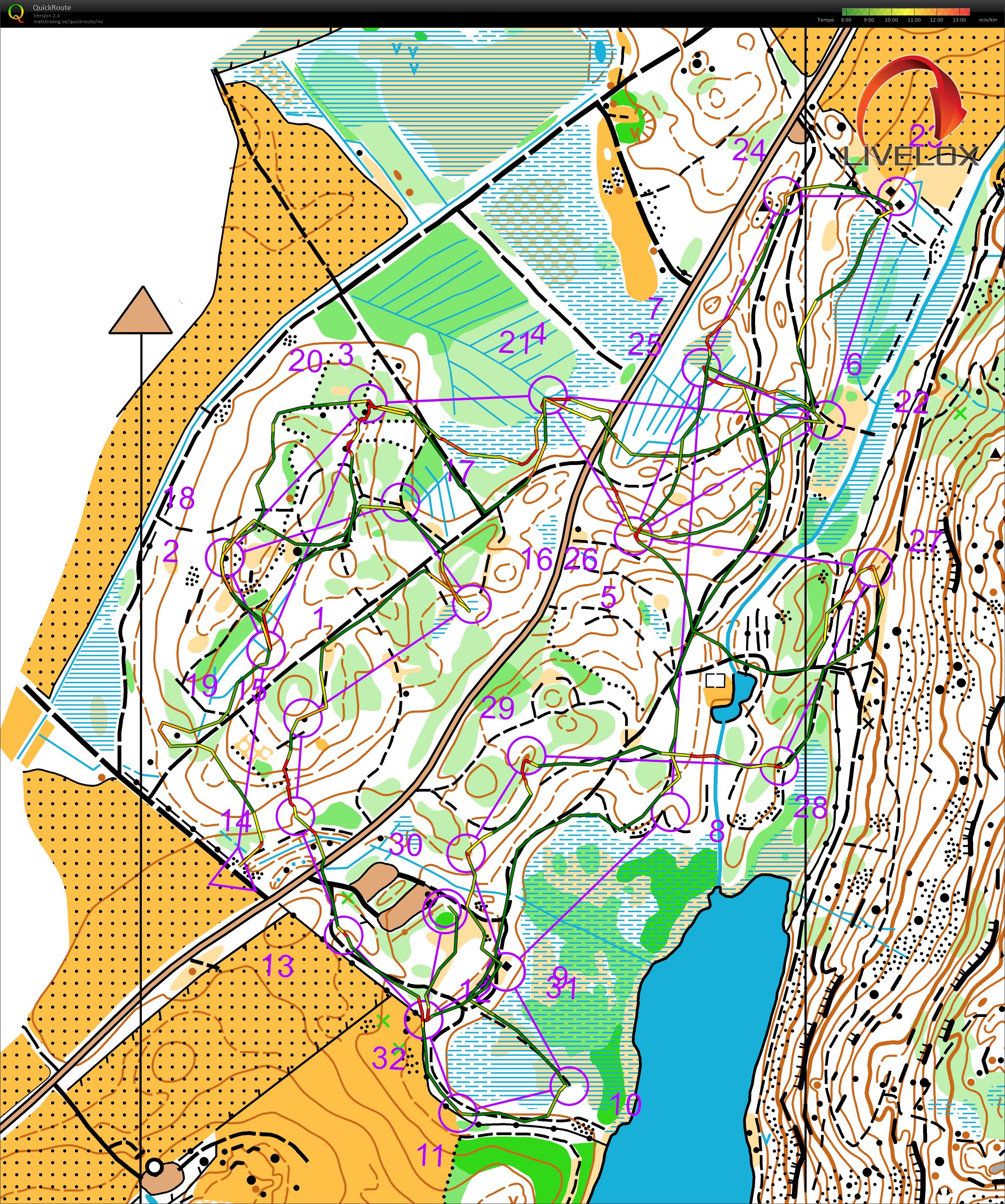 Nattløp (2019-11-06)