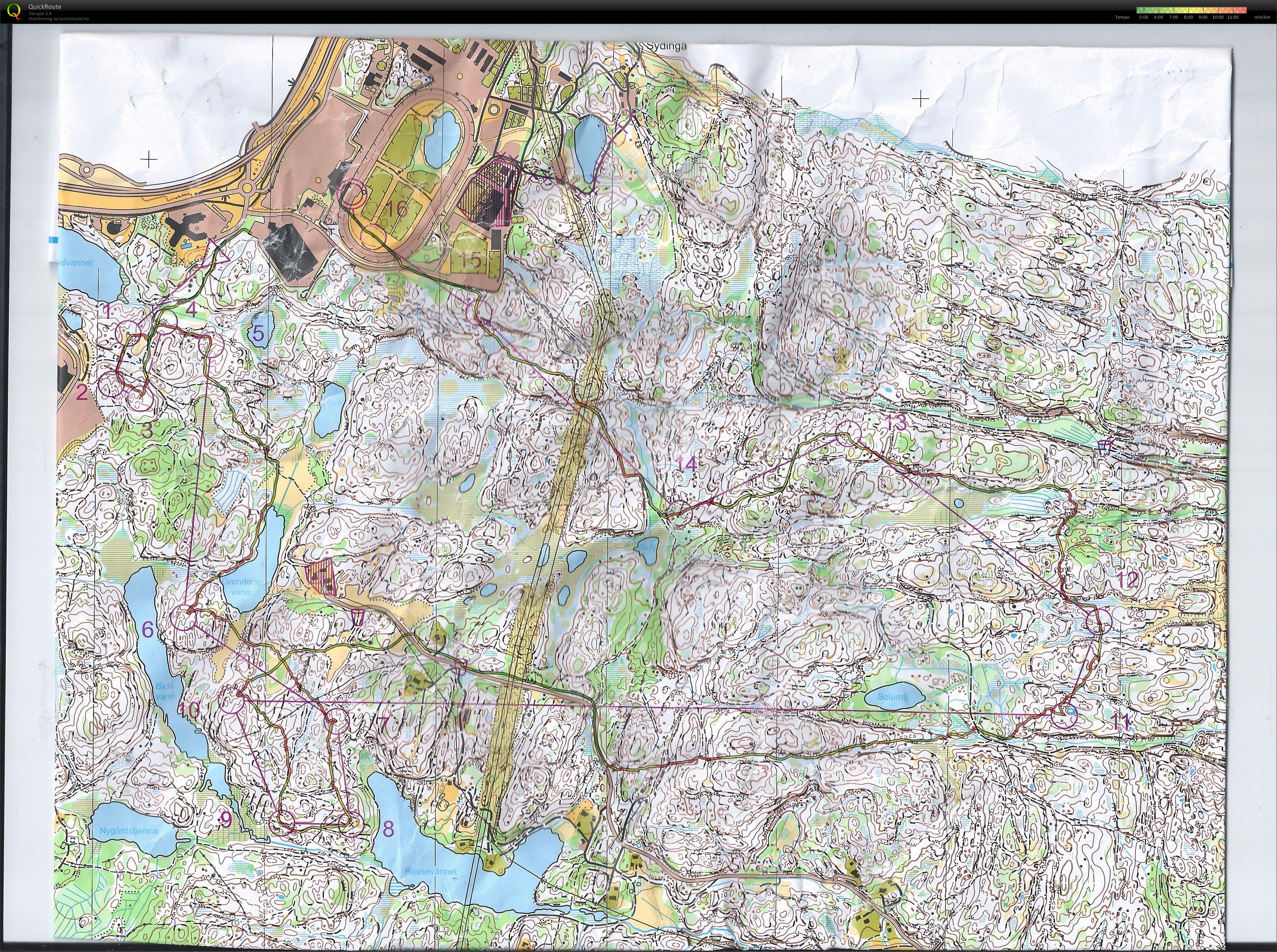 O- Festivalen Lang H40 (23.06.2013)