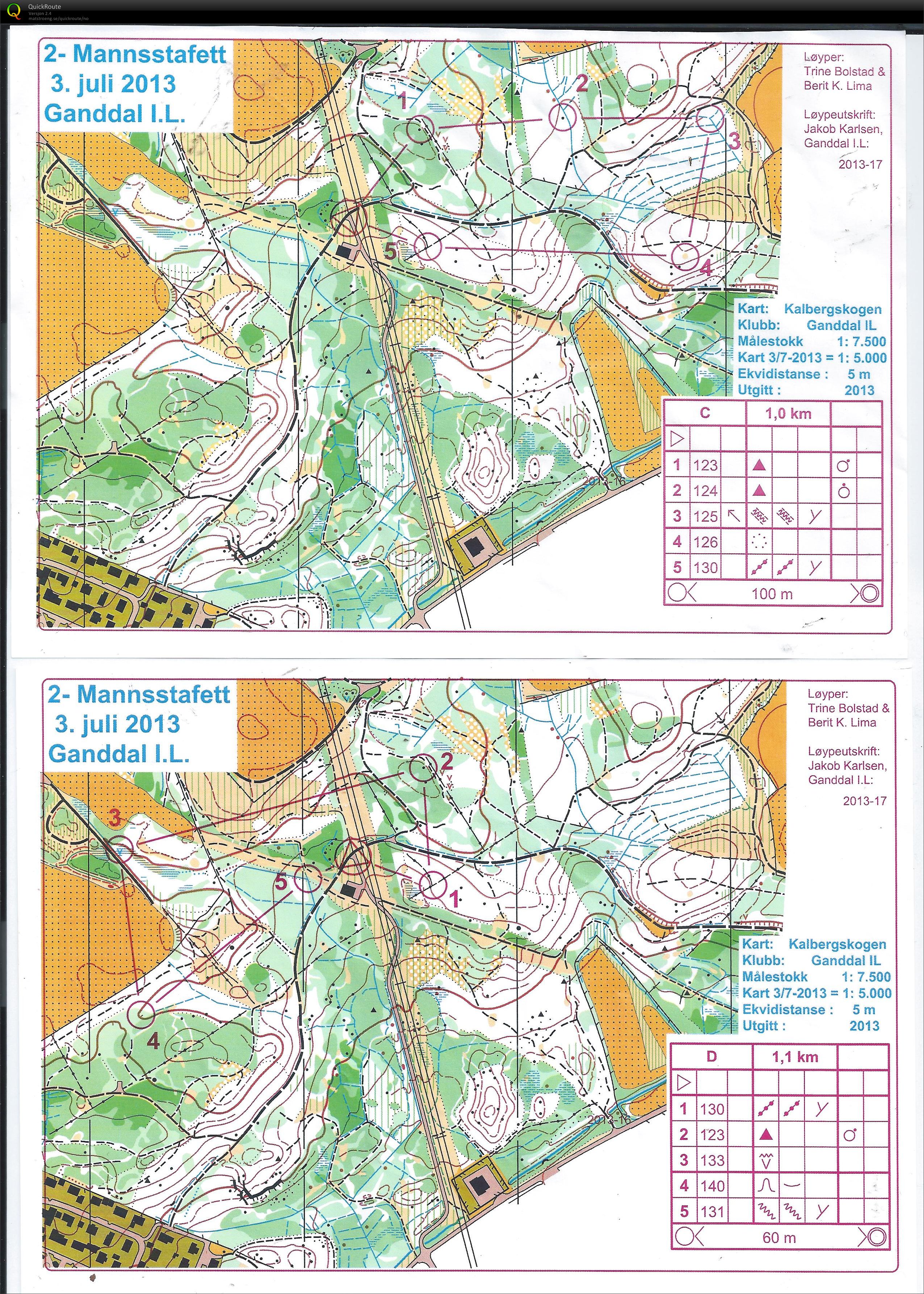 Tomannstafett Kalbergskogen Sløyfe C (03.07.2013)