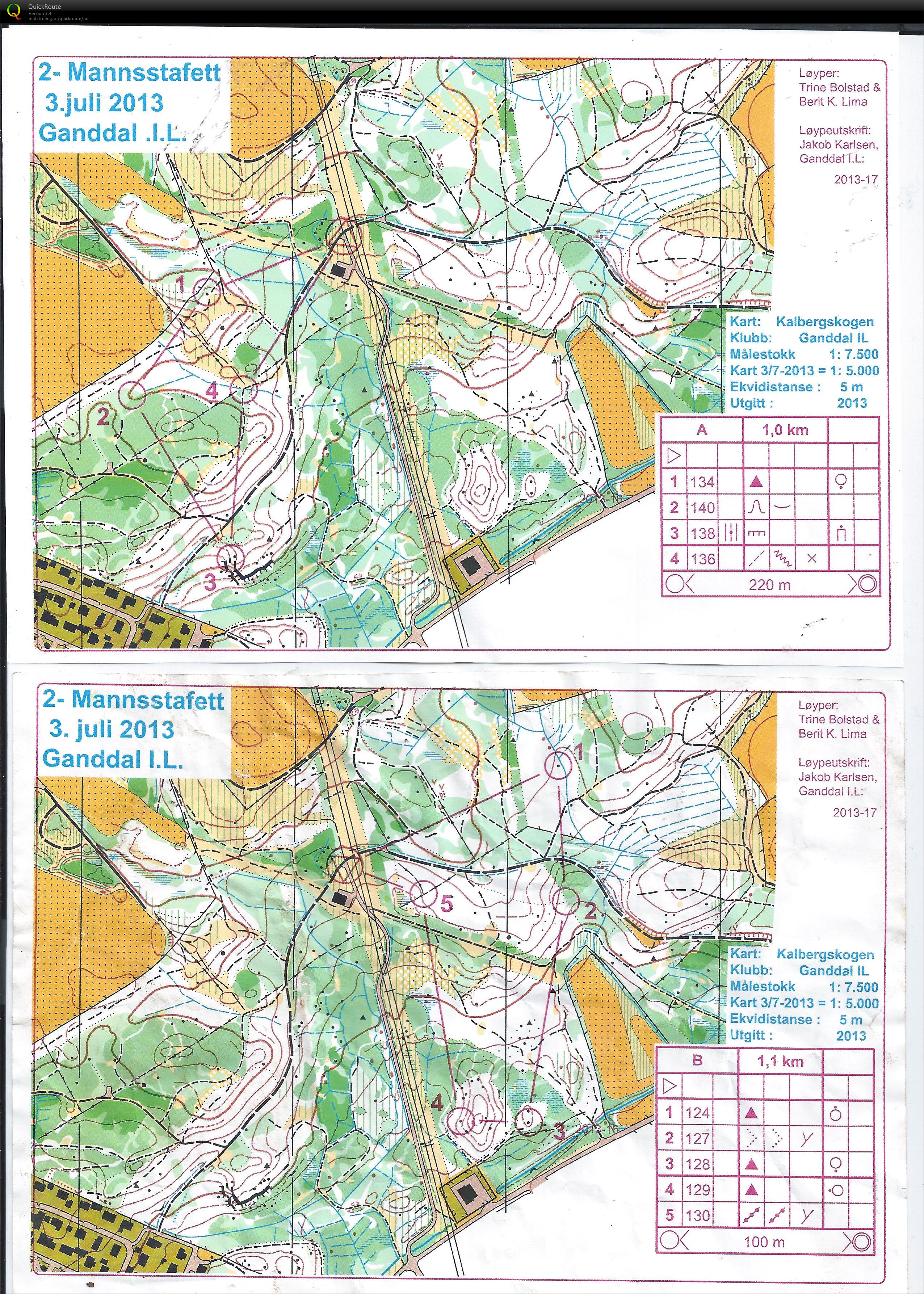 Tomannsstafett Kalbergskogen Sløyfe A (2013-07-03)