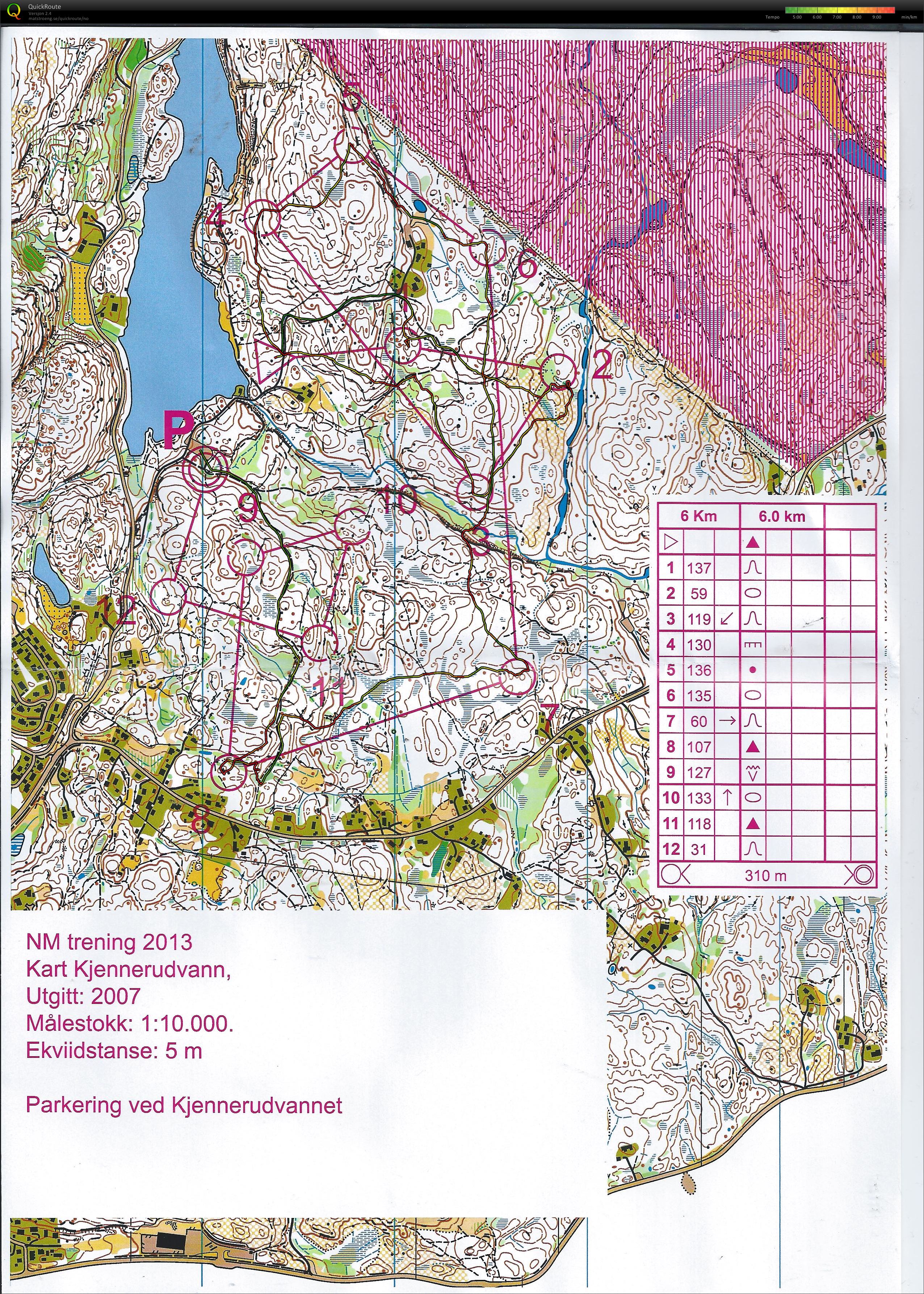 NM Trening 2013 (03.08.2013)