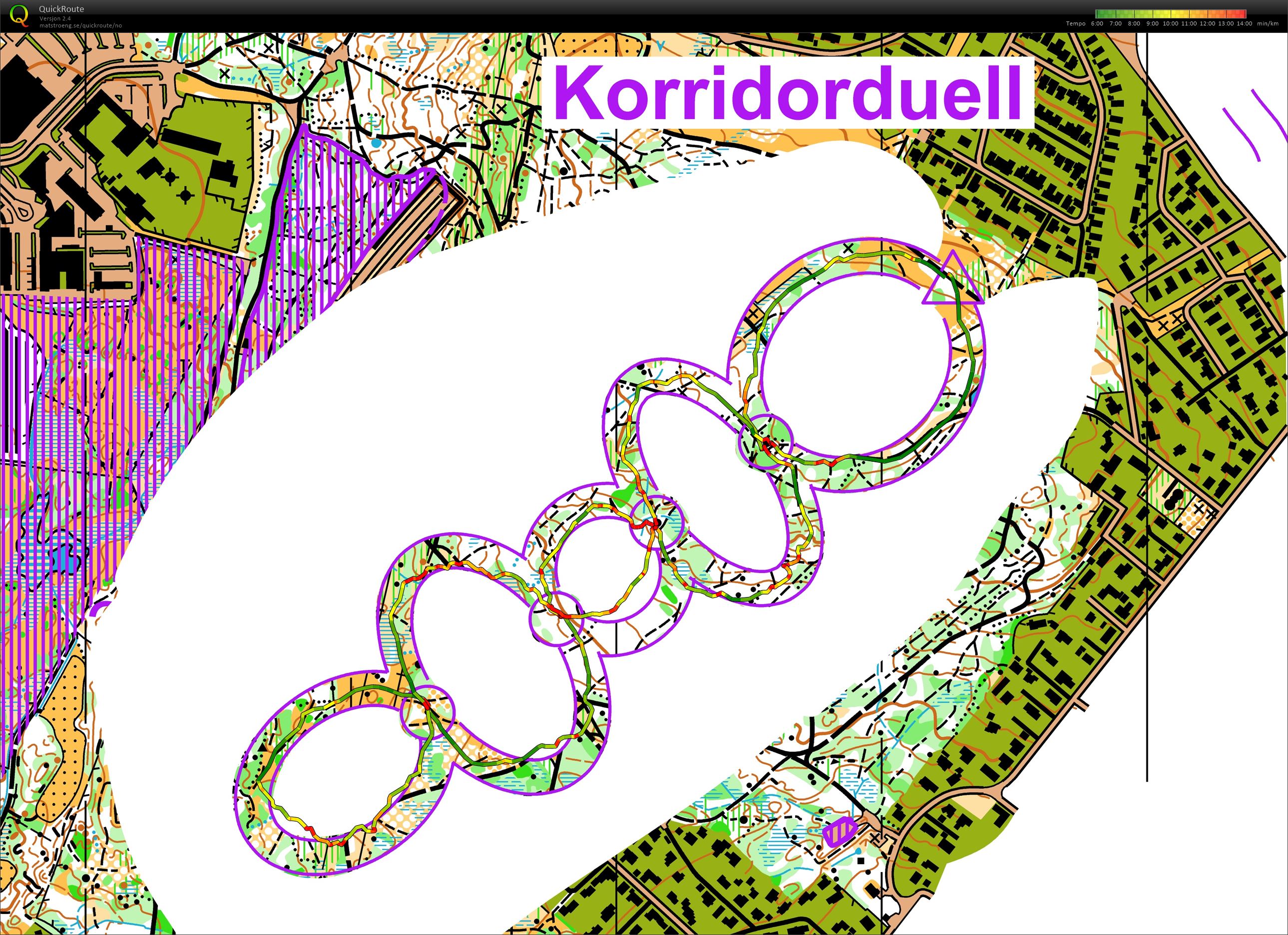 Wang Sirkel O-Korridor (2022-01-14)