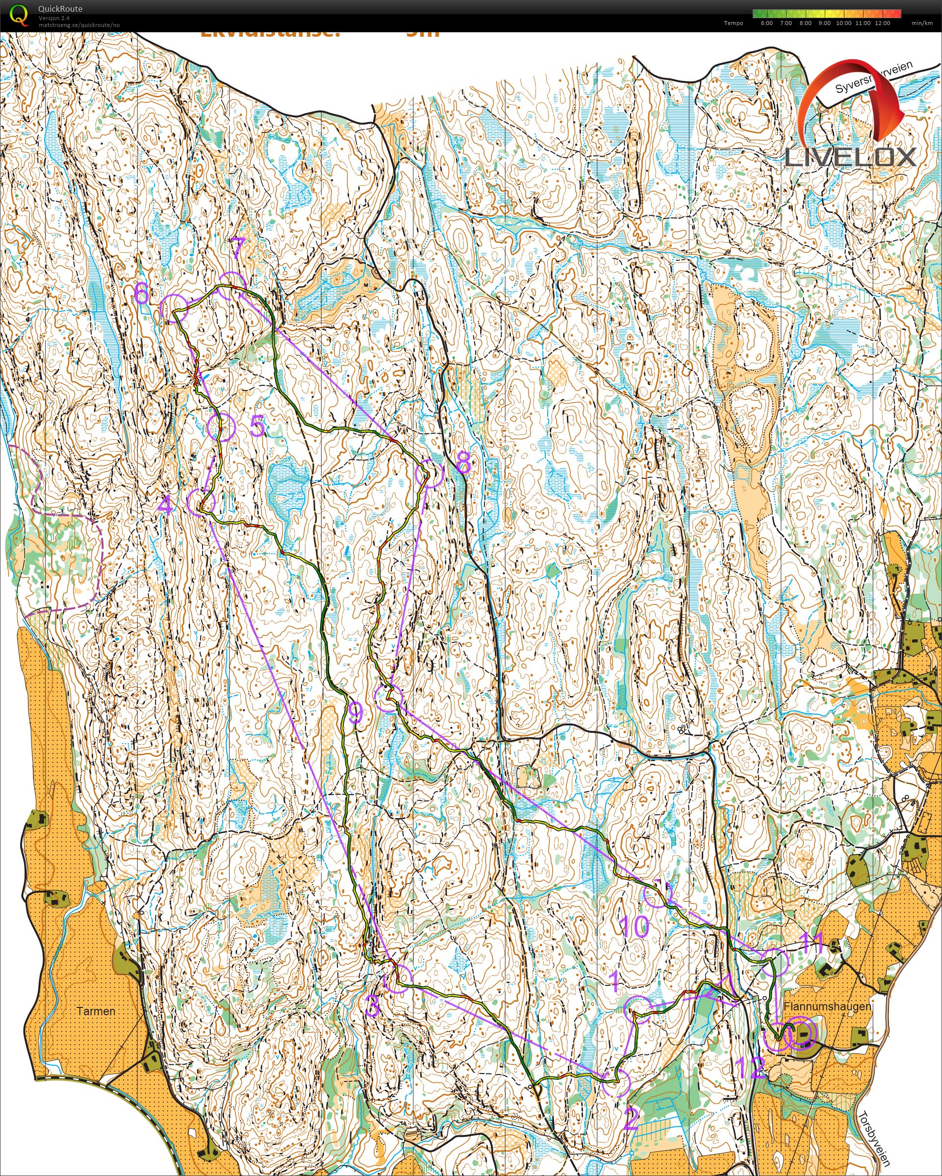 Veteranmesterskapet Lang H50 (02-09-2023)