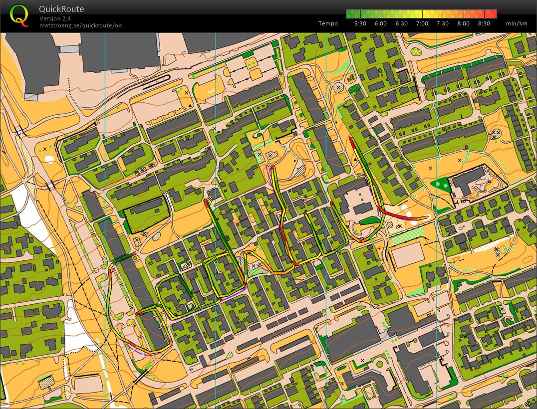 Wang jule O-tek (2023-12-15)