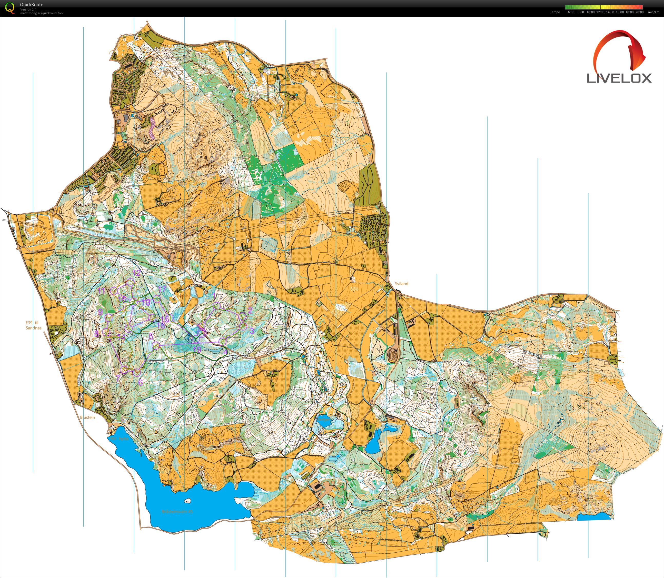 Nyttårsløpet (31.12.2024)