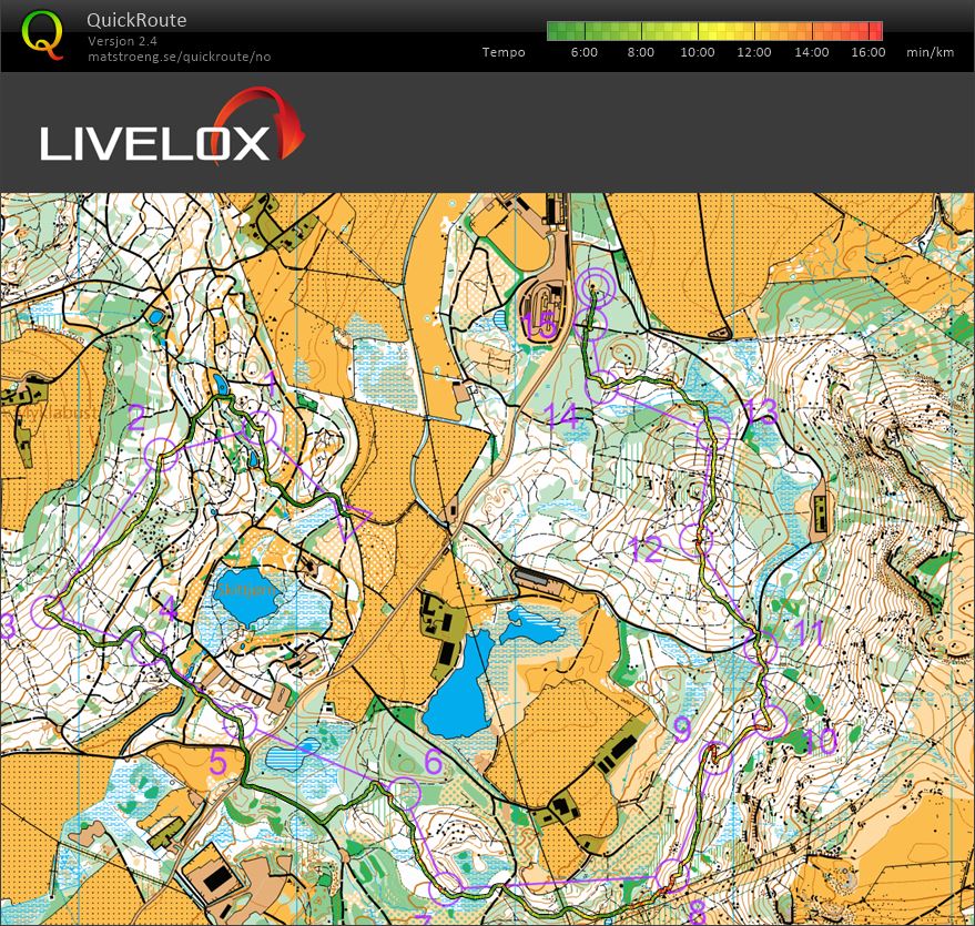 Nattgløggen (17.12.2025)
