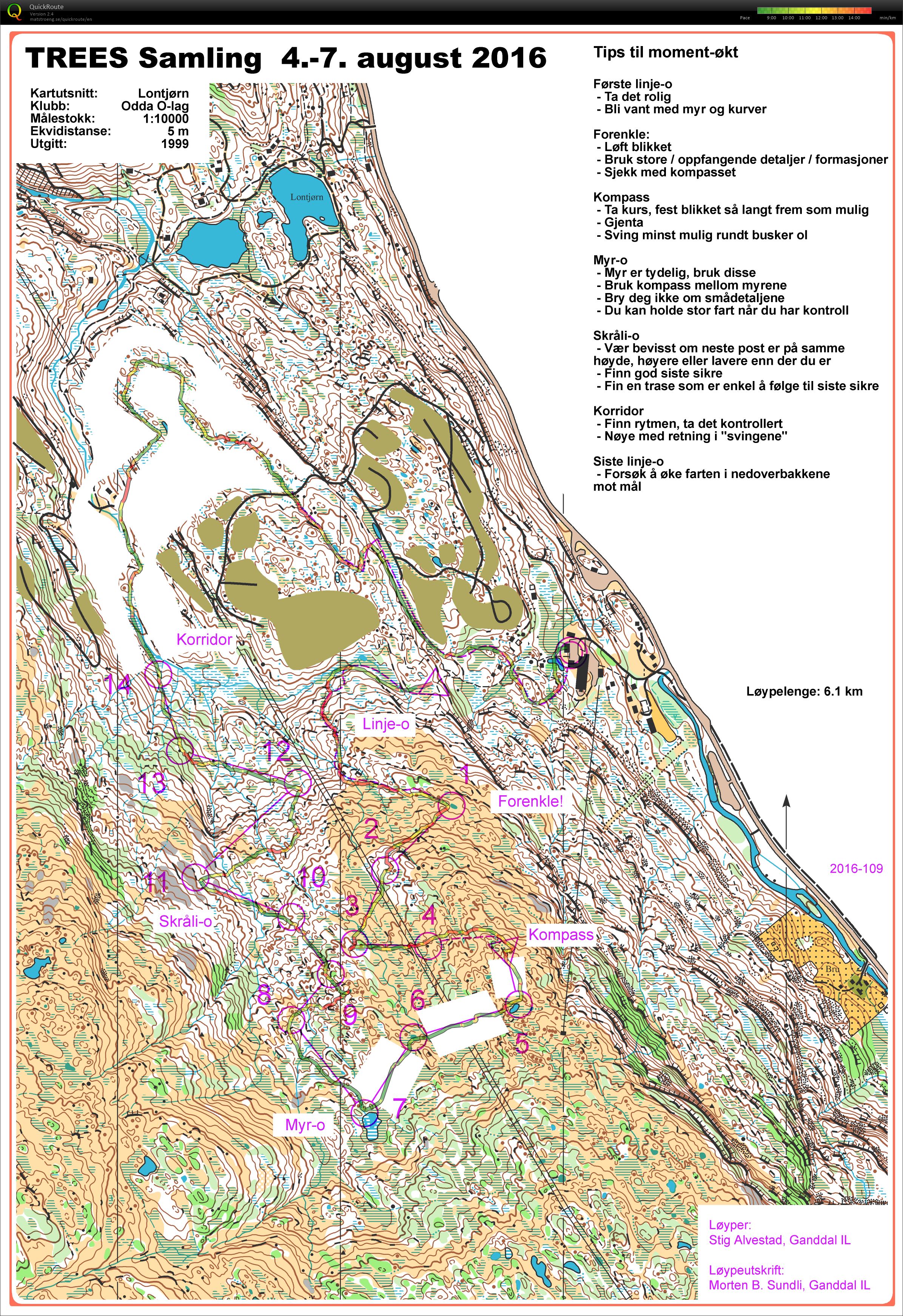 TREES Sommersamling Økt 5 (06.08.2016)